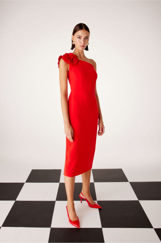 VESTIDO FIESTA BARBARA